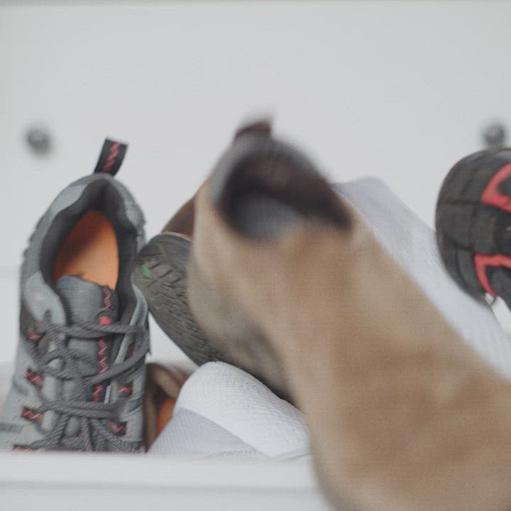 shoe tidy and wall hanger for the home lobby or wardrobe design award